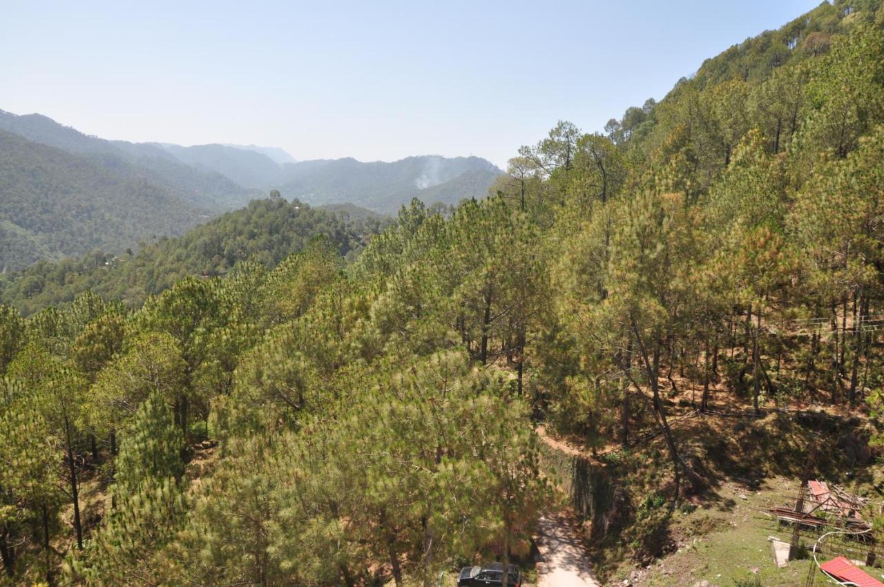 Pine Maderas By Embrace Kasauli Exterior foto